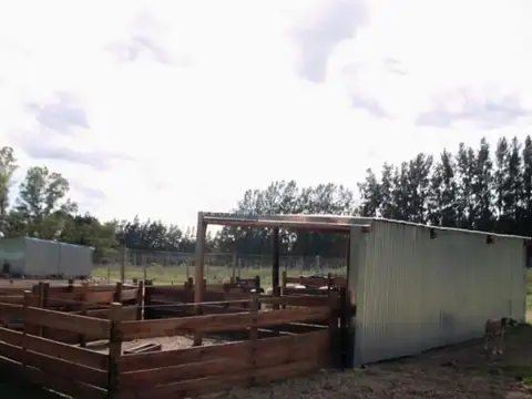 Terreno en Venta de 100000,0 m2