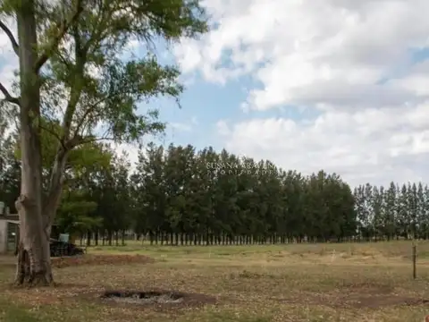 VENTA DE CAMPO EXALTACION DE LA CRUZ