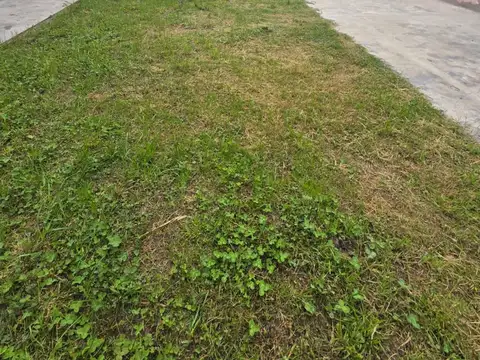 LOTE VENTA LOMAS DEL MIRADOR 