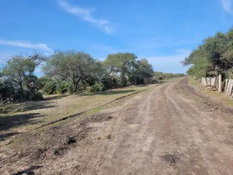Arroyo Carpinchori 100
