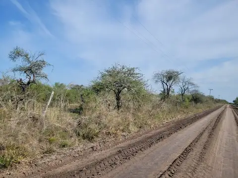 Arroyo Carpinchori 100