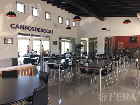 CAMPOS DE ROCA II - LOTE  12