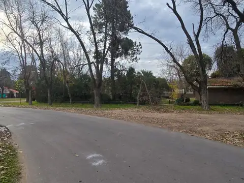 Casa en Alquiler con 6 cocheras