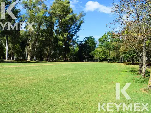 Campos de Roca Ruta 2 Km 65