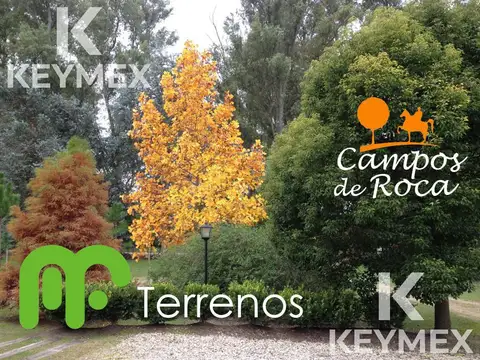 VENTA TERRENO / LOTE EN CAMPOS DE ROCA