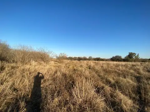 Terreno en Venta de 10000,0 m2