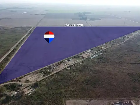 Calle 220 300