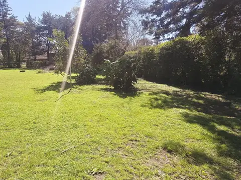 Terreno en Centro Agricola El Pato