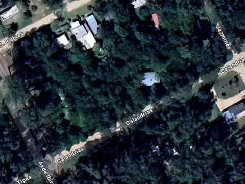 Terreno en Venta en Colonia Santa Ana, USD 45.000