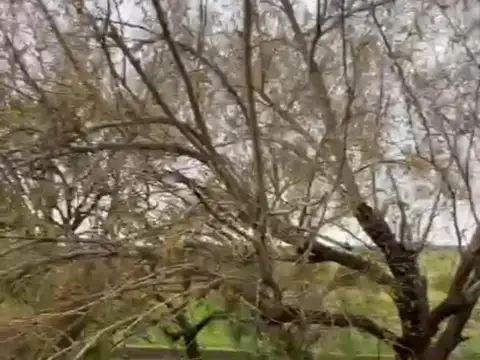 Quinta en Venta de 2 dormitorios