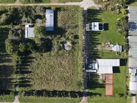 Lote Terreno en venta en La Plata, Lisandro Olmos 300m²