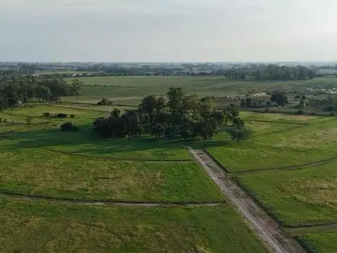 Campo Alto, barrio abierto en Zárate. Ruta 193.