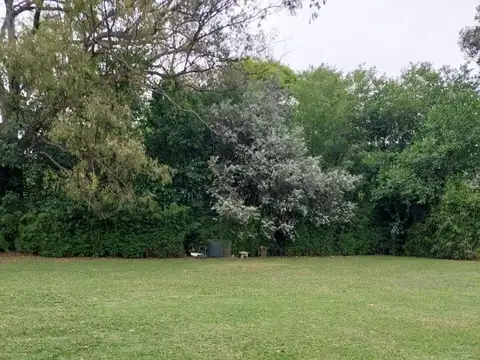 Quinta Delviso Cod. M045vc