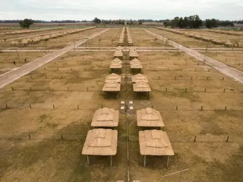 Terreno en Venta de 600,0 m2