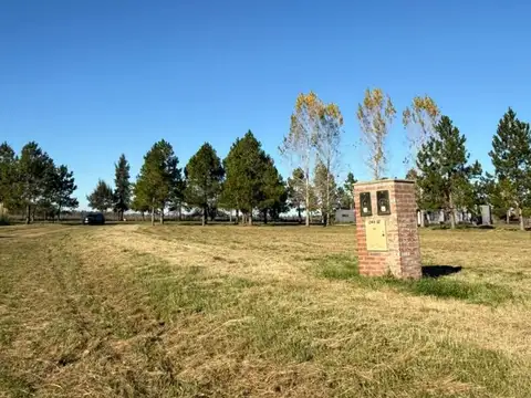 Las Hojas H-17