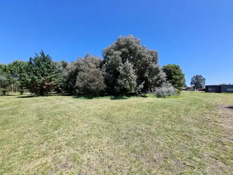 Avenida del Silencio 100