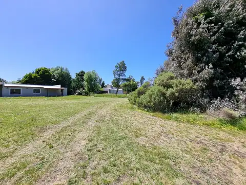 Avenida del Silencio 100