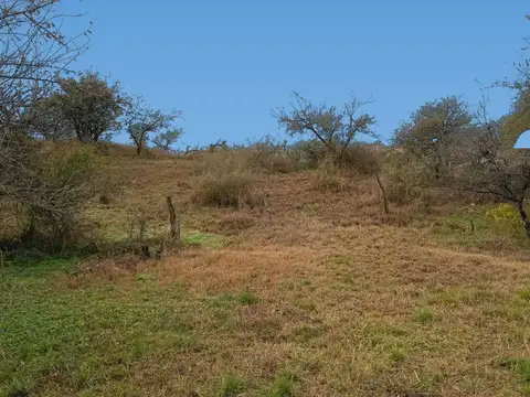 Terreno en Venta de 1844,0 m2