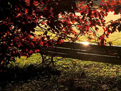 Terreno en Venta de 3,0 m2