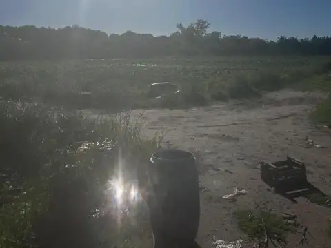 Campo Escobar. Cod:11248a