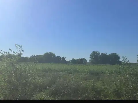 Campo Escobar 4 Hectareas