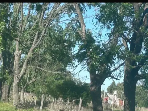 Campo Escobar 4 Hectareas