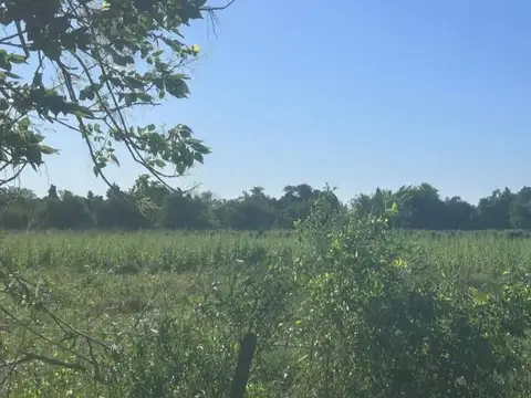 Campo Escobar. Cod:11248a