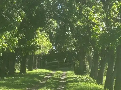 Campo Escobar 4 Hectareas