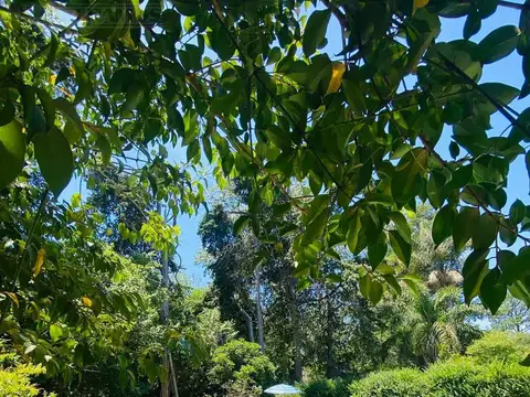 El Dorado - Ing. Maschwitz