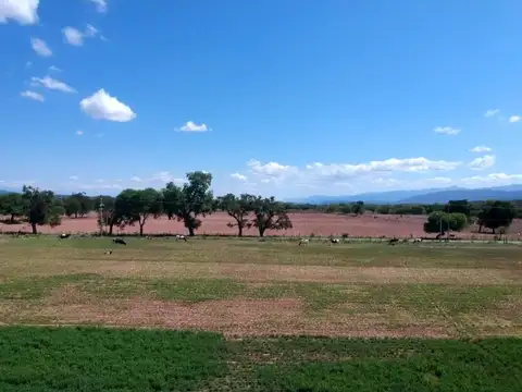 Terreno en Venta de 21350,0 m2