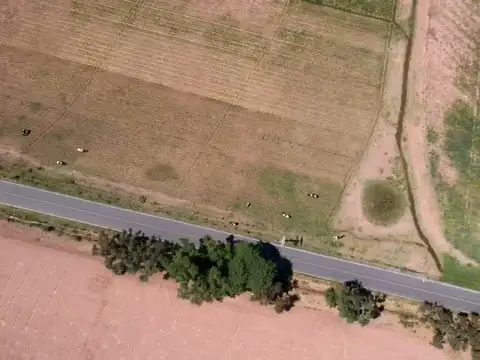 Terreno en Venta de 21350,0 m2