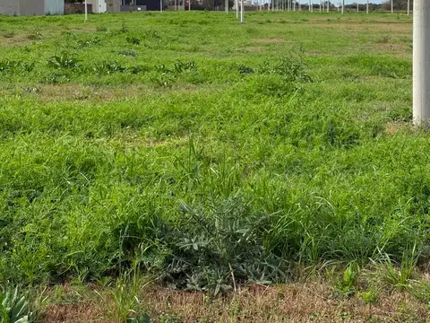 Terreno en Venta en Esperanza, Las Colonias