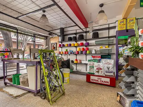 Local| Alquiler en Parque Chas| Con subsuelo