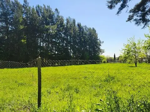 Pampa de Achala