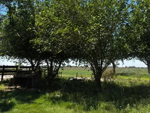 Zona rural Oeste- 50 has