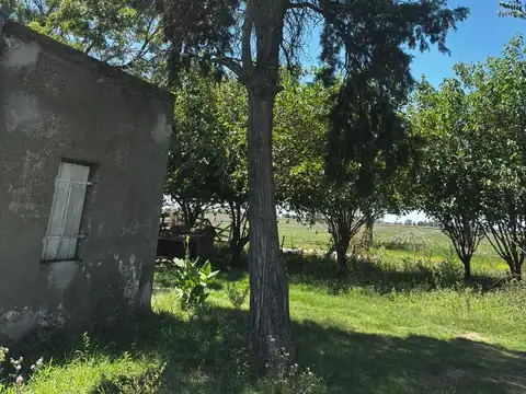Zona rural Oeste- 50 has