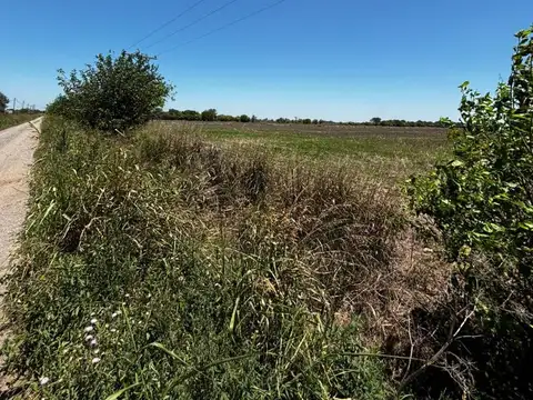 Campo en Esperanza