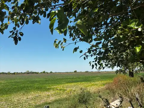Campo en Esperanza