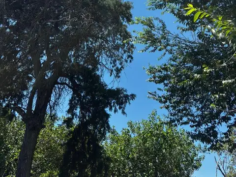 Campo en Esperanza
