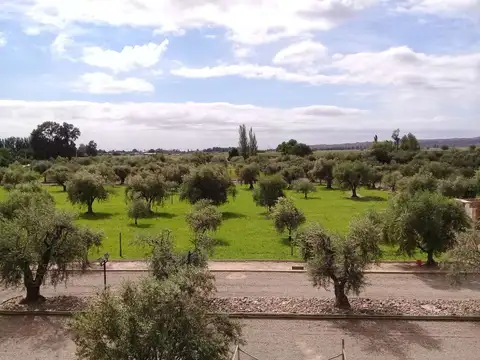 Terreno en Venta en Lunlunta, USD 110.000
