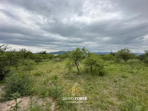 Terreno en Venta de 600,0 m2