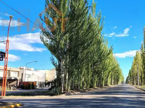 Terreno en Venta en Cipolletti, USD 49.900