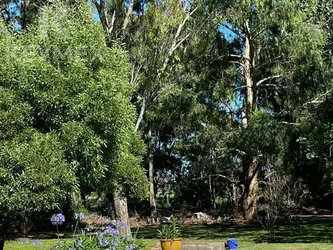 Alquiler Temporal-Casa Quinta-Calle 60 y calle 183