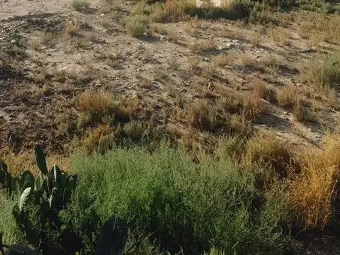 Quintana
