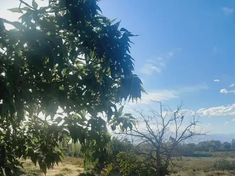 Quintana