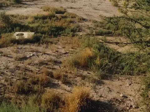 Quintana