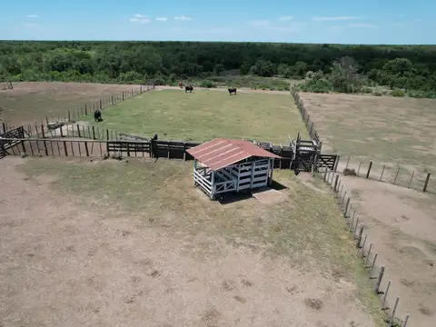 Campo en Venta de 2.338  ha