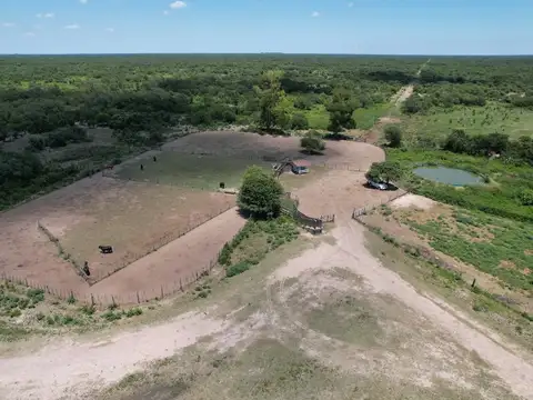 Campo en Venta Ganadero