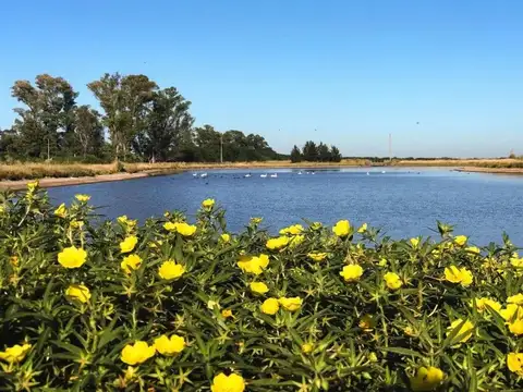 Lote en Venta, 3925m2, en Chacras de La Trinidad, Cañuelas