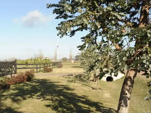 Terreno en Venta de 3925,0 m2